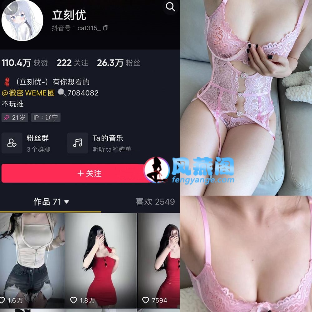 风燕阁fengyange.com