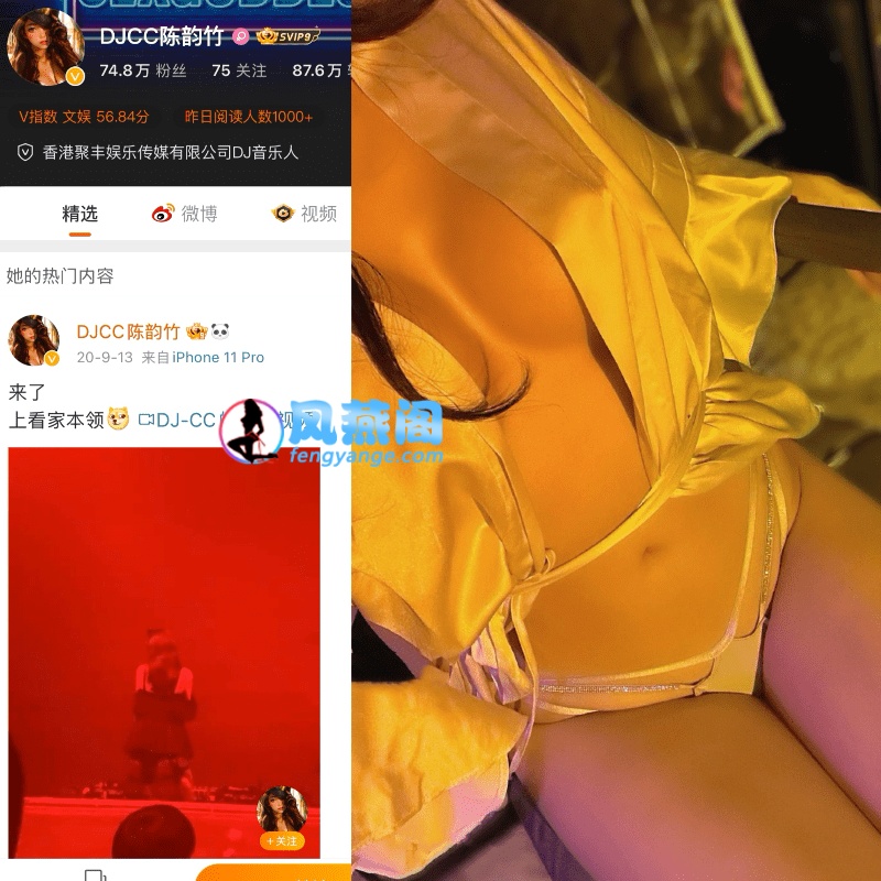 DJCC陈韵竹微密圈下载