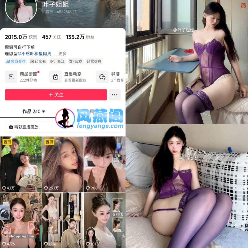 叶子姐姐微密圈早期私拍写真莫兰迪色调高清资源